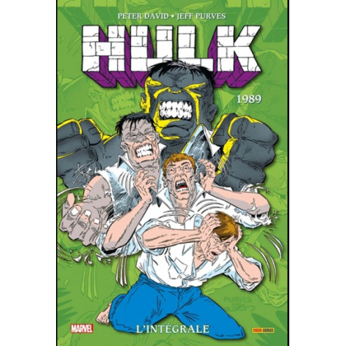 Hulk : L'intégrale 1989 (Nouvelle édition) (VF)