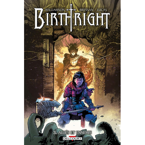 Birthright tome 3 (VF)