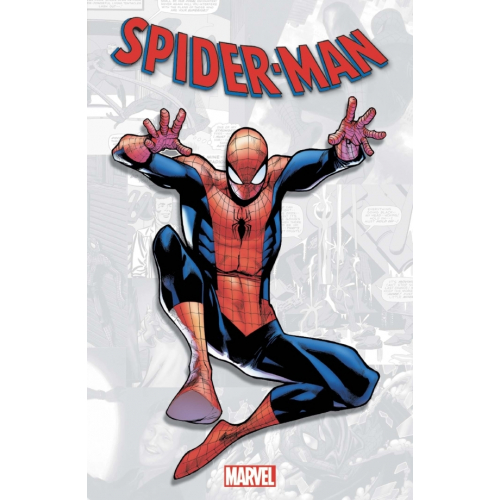 Marvel-Verse : Spider-Man (VF)