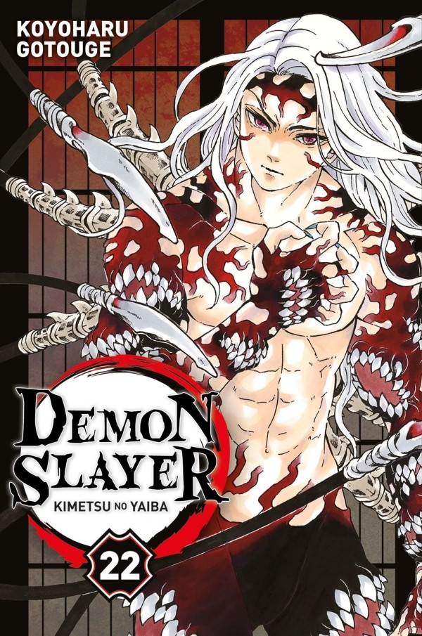 Demon Slayer Tome 21 (VF)