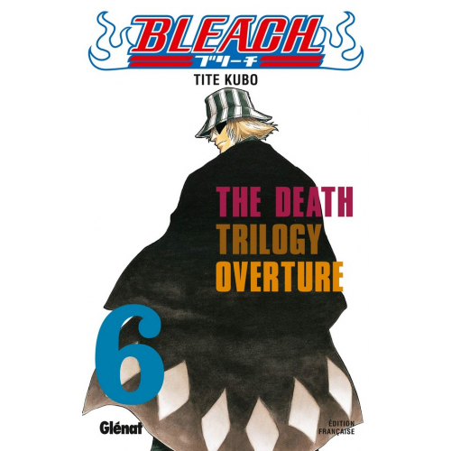 Bleach T06 (VF)