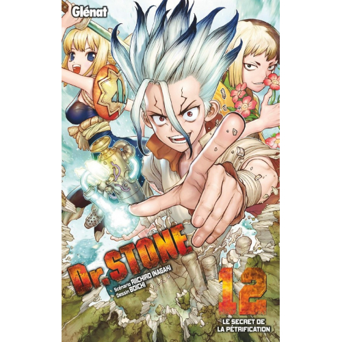 Dr Stone Tome 12 (VF)
