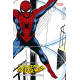 Spider-Man : Epic Collection : de grands pouvoirs (VF) 504 pages