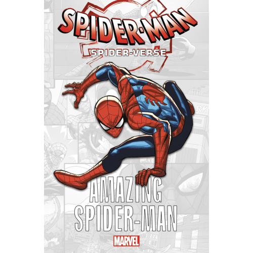 Marvel-Verse : Amazing Spider-Man (VF)