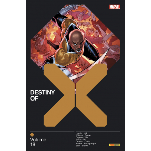 Destiny of X Tome 18 (VF)