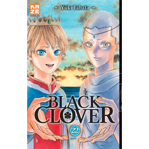 Black Clover Tome 22 (VF)