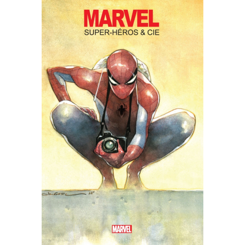 Marvel : Une histoire de héros (VF)