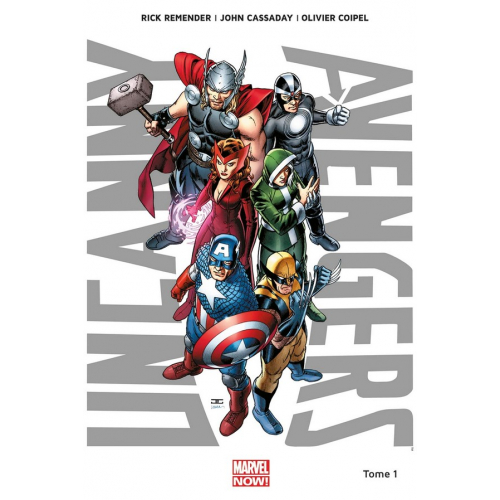 Uncanny Avengers Tome 1 (VF)